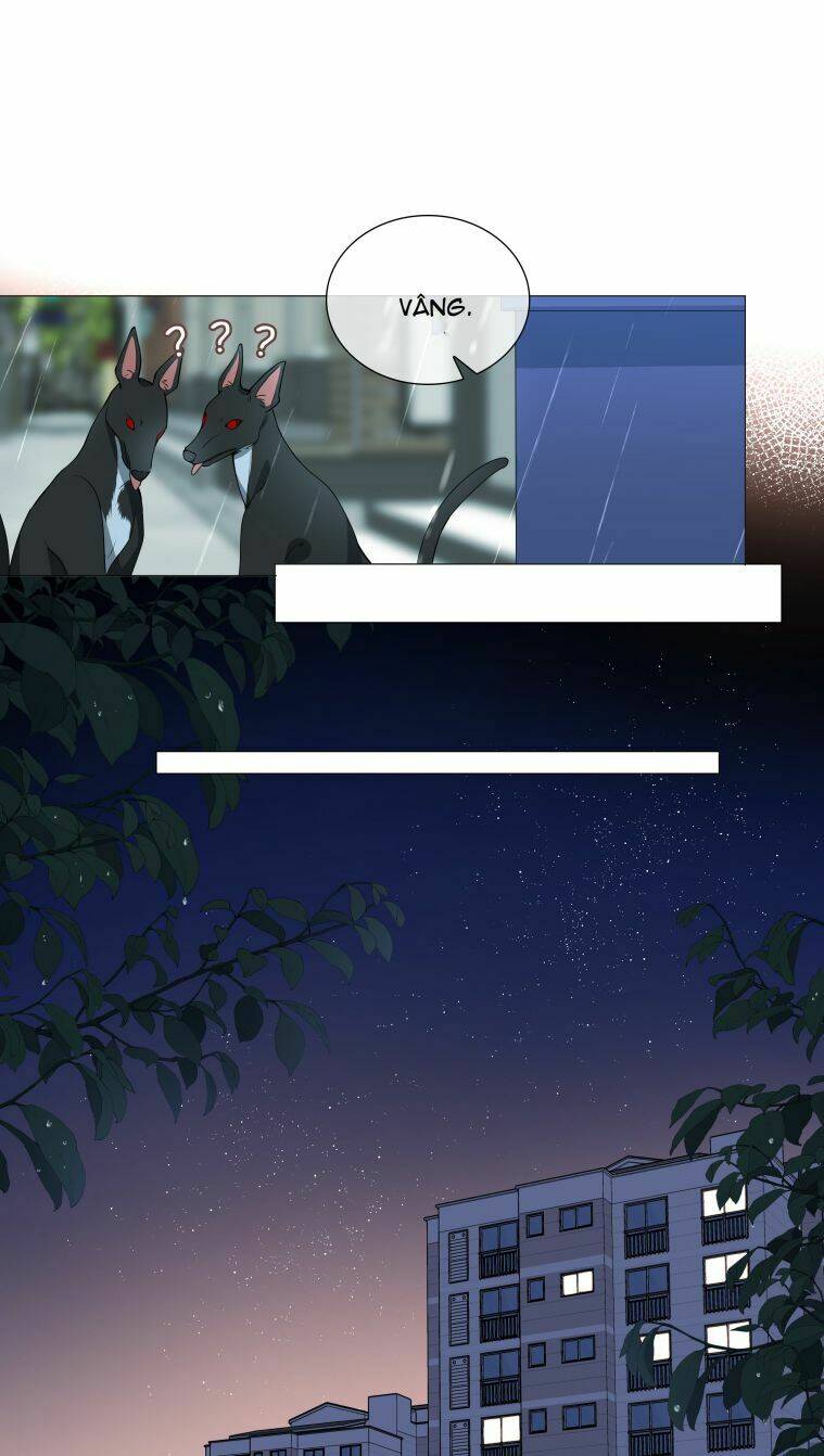 Sơn Hải Cao Trung Chapter 25 - Trang 2