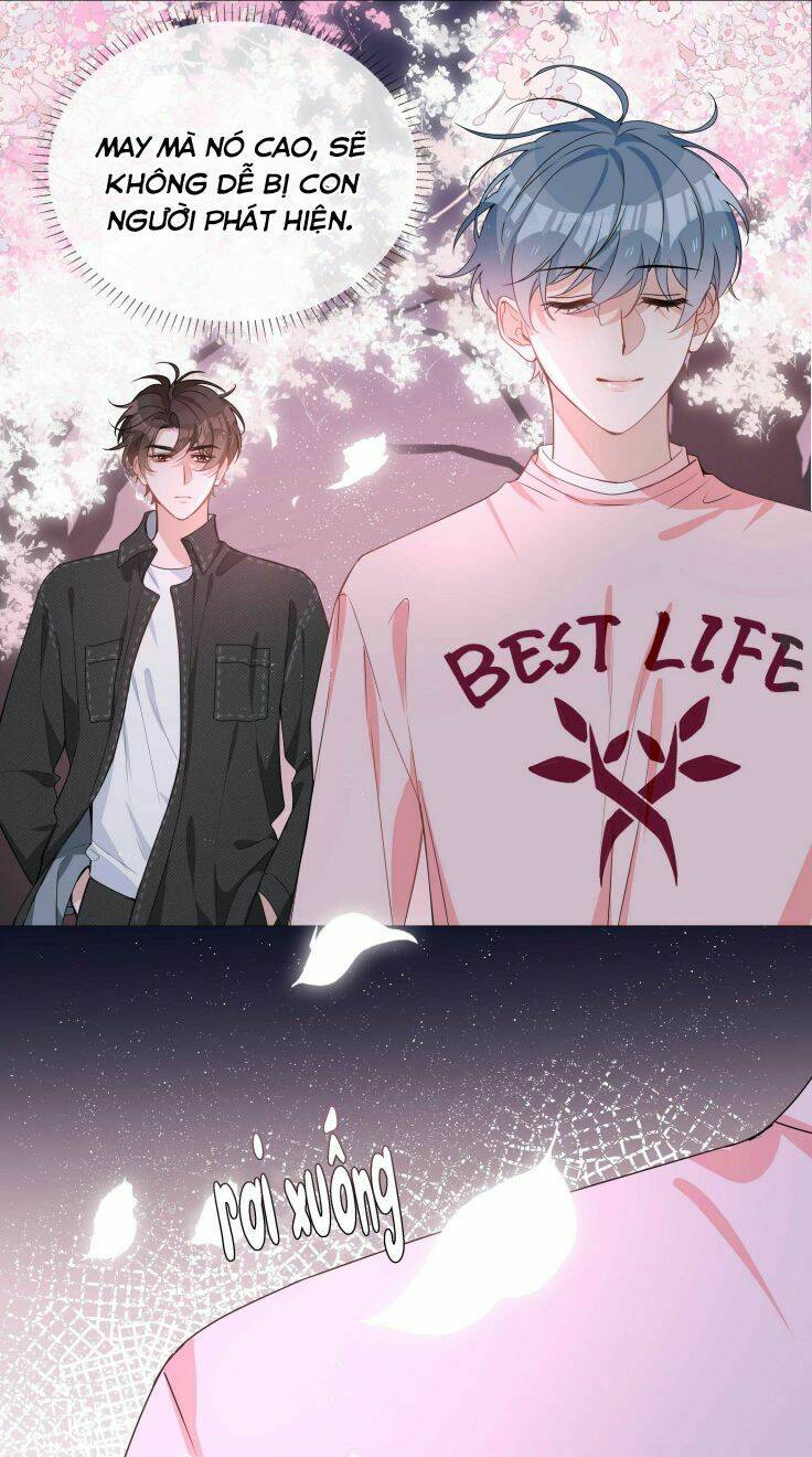 Sơn Hải Cao Trung Chapter 26 - Trang 2