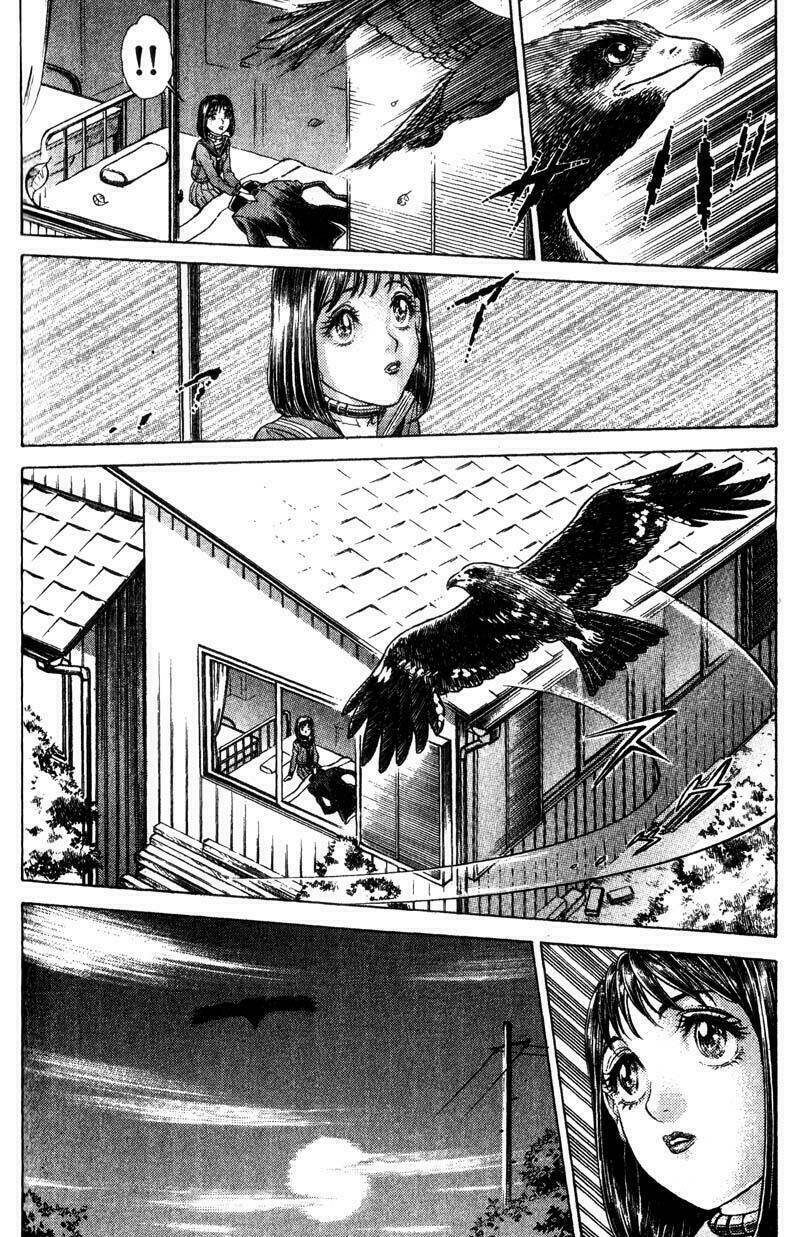 Sống Còn – Trò Chơi Sinh Tử Chapter 31 - Trang 2