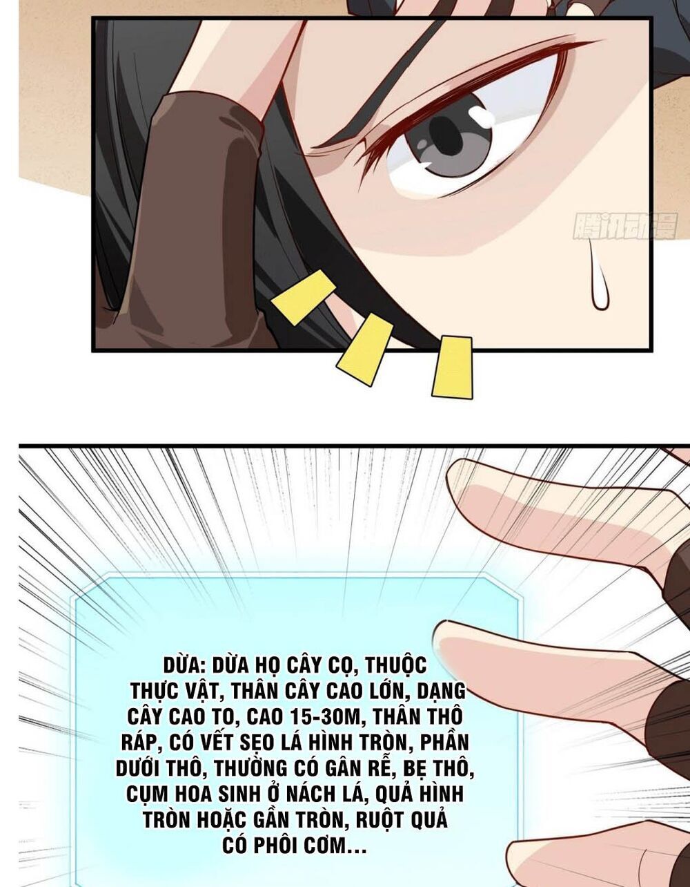 Sống Trên Hoang Đảo Cùng Các Em Gái Chapter 0 - Trang 2