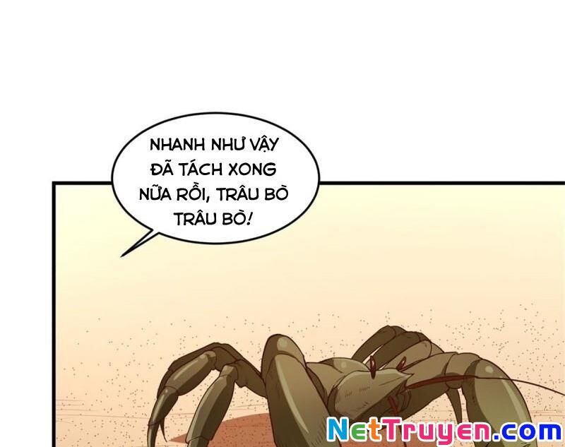 Sống Trên Hoang Đảo Cùng Các Em Gái Chapter 10 - Trang 2