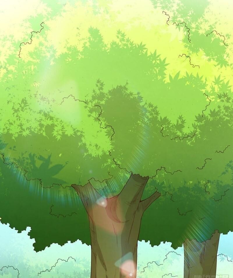 Sống Trên Hoang Đảo Cùng Các Em Gái Chapter 12 - Trang 2