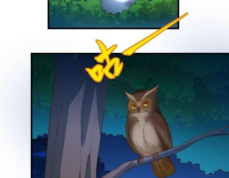 Sống Trên Hoang Đảo Cùng Các Em Gái Chapter 13 - Trang 2