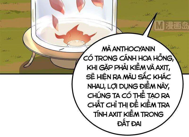 Sống Trên Hoang Đảo Cùng Các Em Gái Chapter 138 - Trang 2