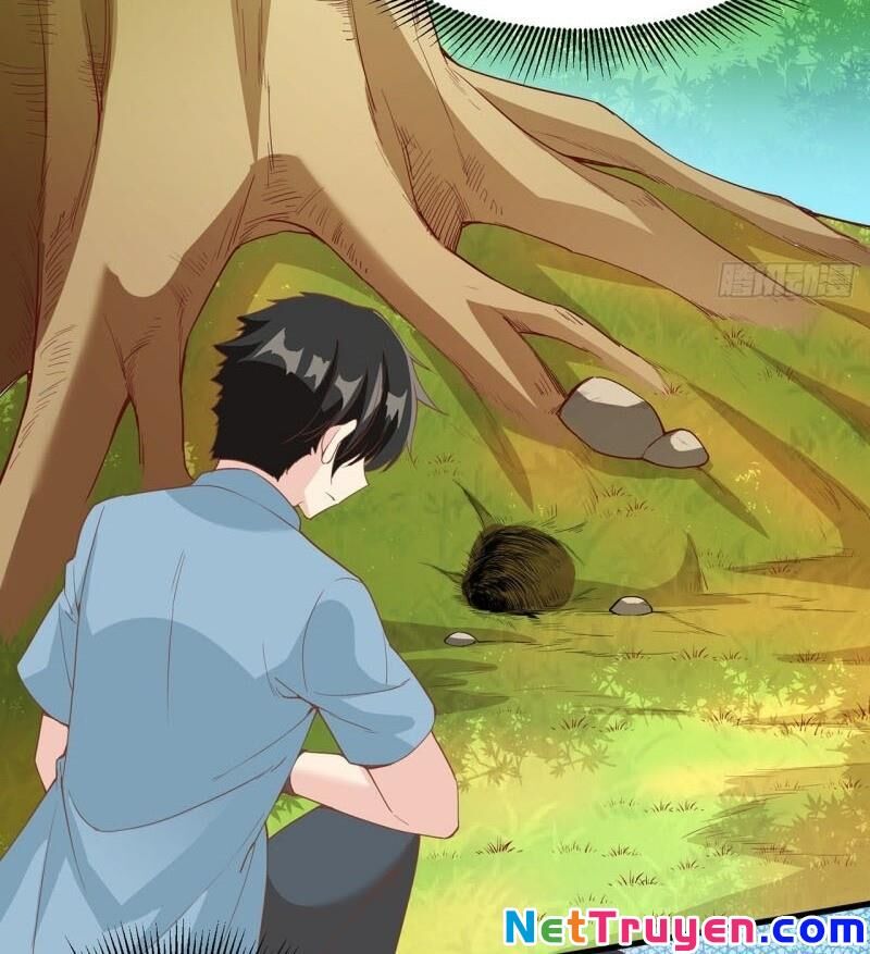 Sống Trên Hoang Đảo Cùng Các Em Gái Chapter 14 - Trang 2