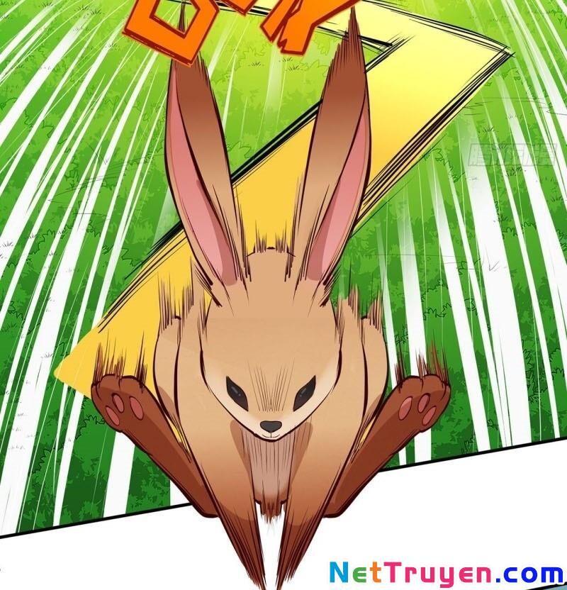 Sống Trên Hoang Đảo Cùng Các Em Gái Chapter 14 - Trang 2