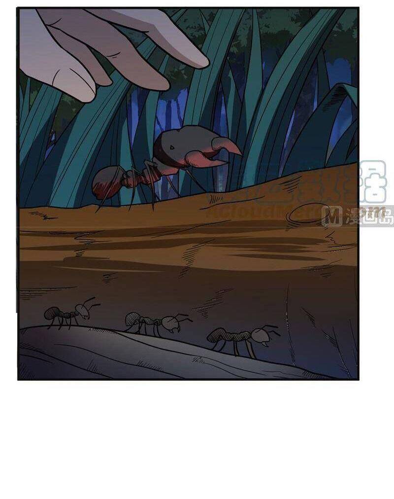 Sống Trên Hoang Đảo Cùng Các Em Gái Chapter 156 - Trang 2