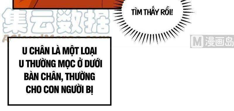 Sống Trên Hoang Đảo Cùng Các Em Gái Chapter 165 - Trang 2