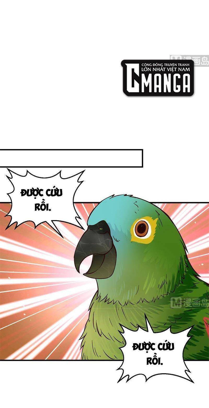 Sống Trên Hoang Đảo Cùng Các Em Gái Chapter 174 - Trang 2