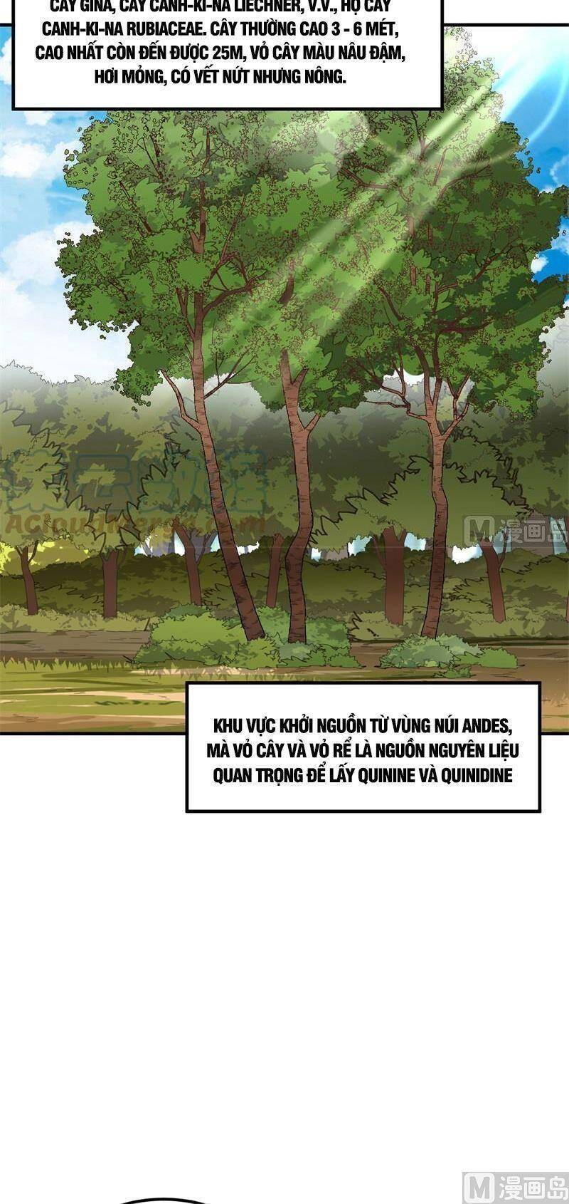 Sống Trên Hoang Đảo Cùng Các Em Gái Chapter 185 - Trang 2