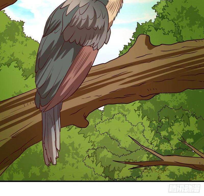 Sống Trên Hoang Đảo Cùng Các Em Gái Chapter 204 - Trang 2