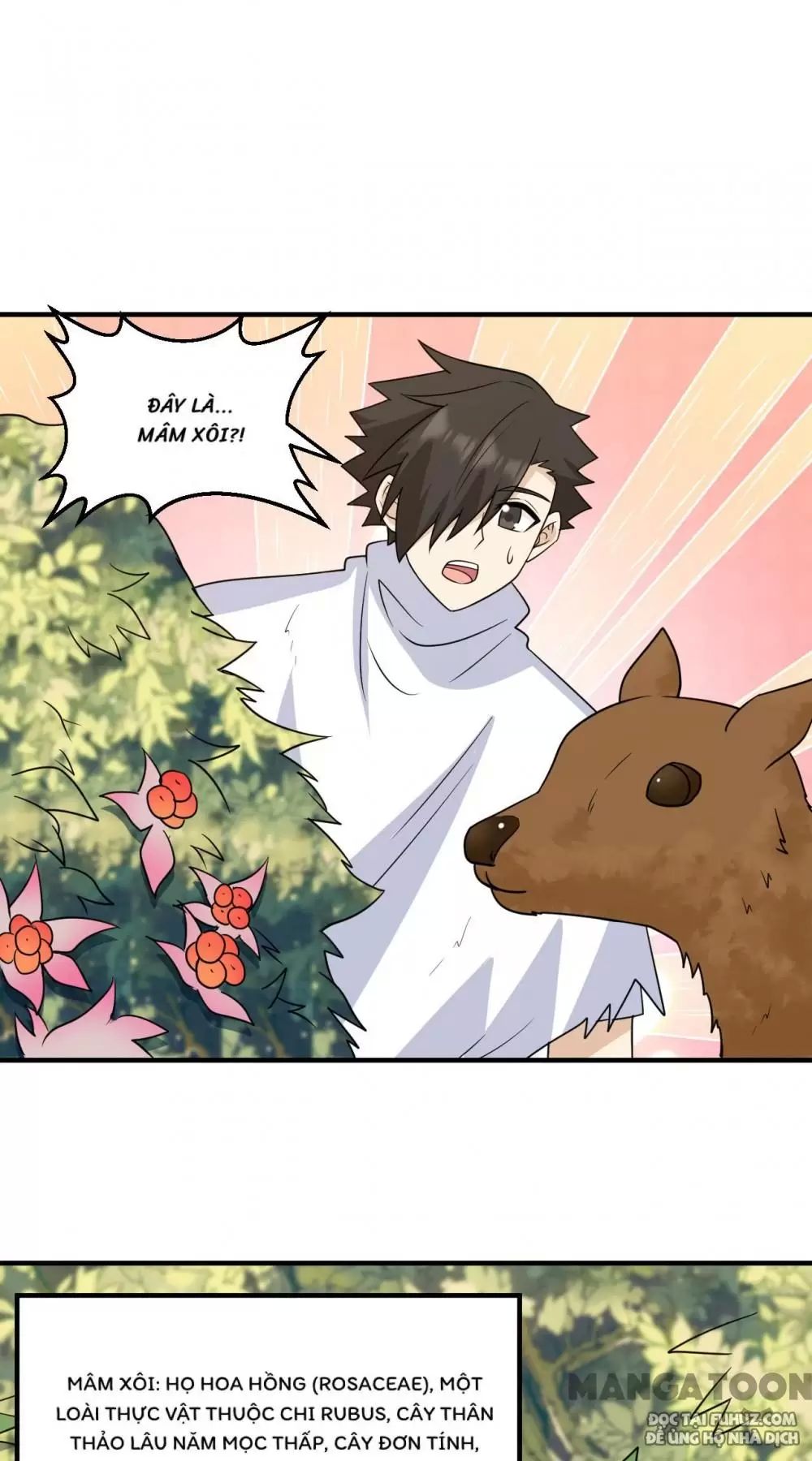 Sống Trên Hoang Đảo Cùng Các Em Gái Chapter 232 - Trang 2