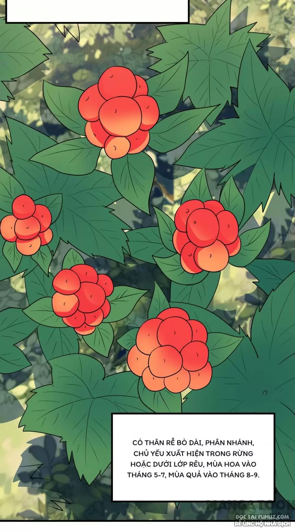 Sống Trên Hoang Đảo Cùng Các Em Gái Chapter 232 - Trang 2