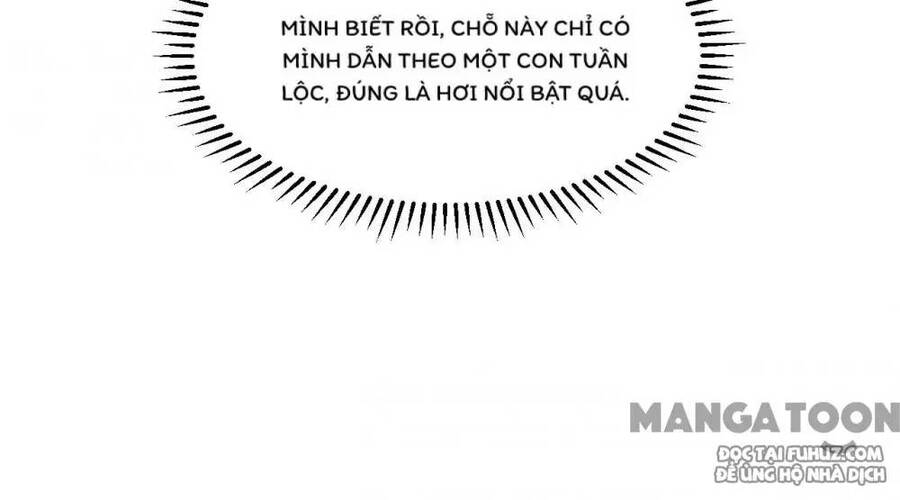 Sống Trên Hoang Đảo Cùng Các Em Gái Chapter 254 - Trang 2