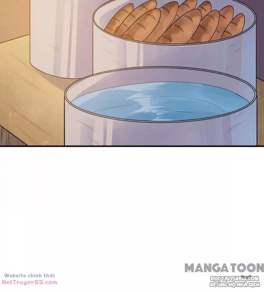 Sống Trên Hoang Đảo Cùng Các Em Gái Chapter 257 - Trang 2