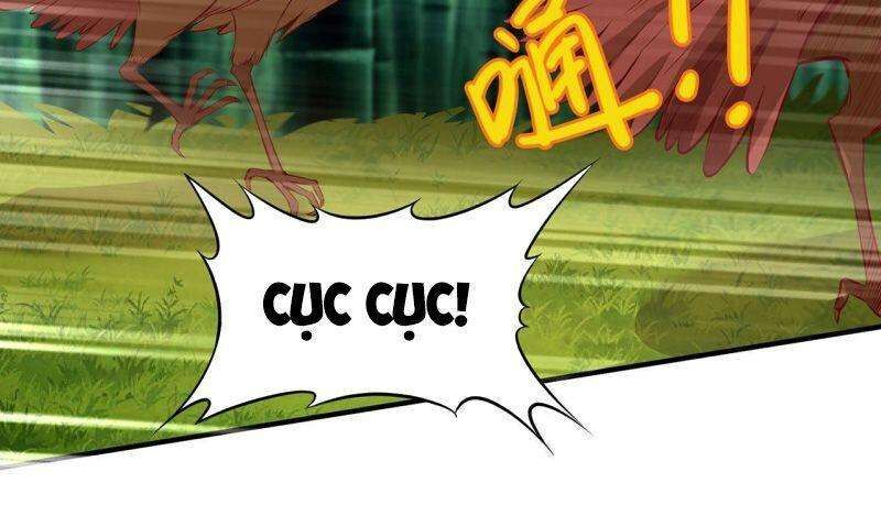 Sống Trên Hoang Đảo Cùng Các Em Gái Chapter 26 - Trang 2