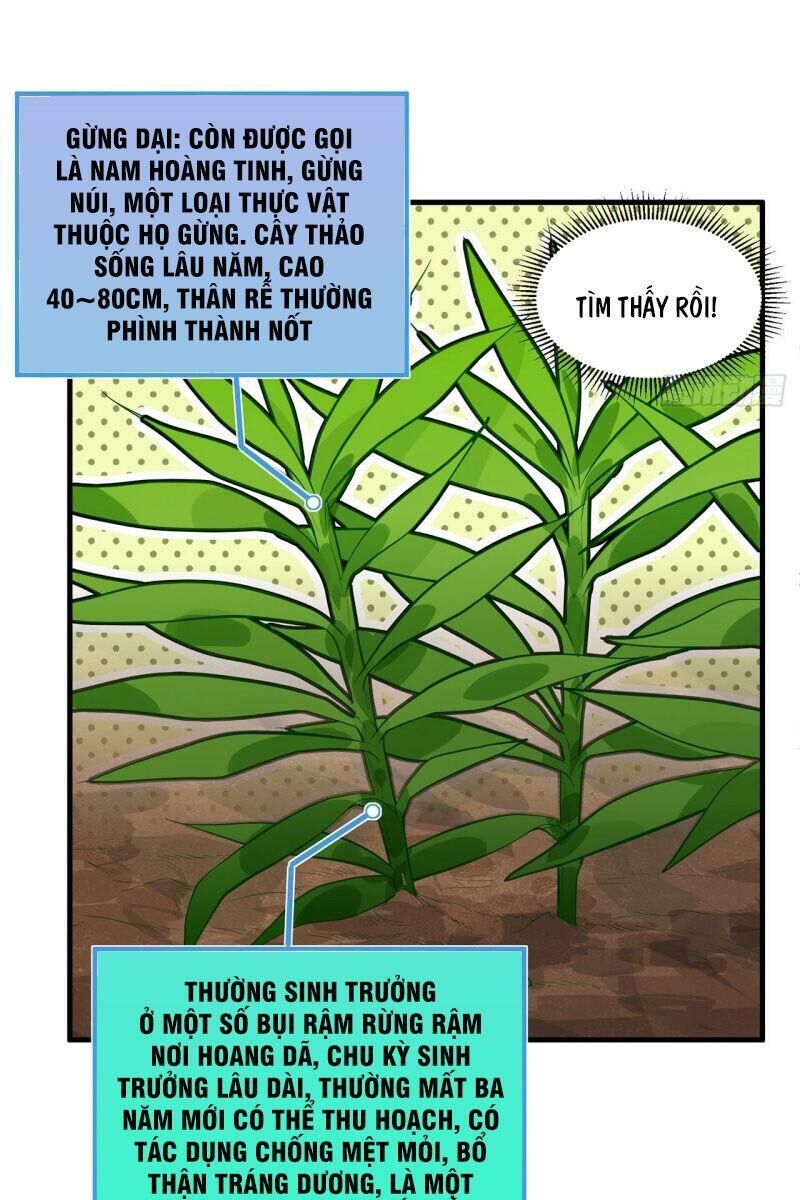 Sống Trên Hoang Đảo Cùng Các Em Gái Chapter 35 - Trang 2