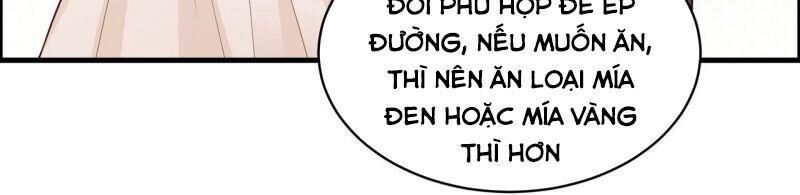 Sống Trên Hoang Đảo Cùng Các Em Gái Chapter 38 - Trang 2