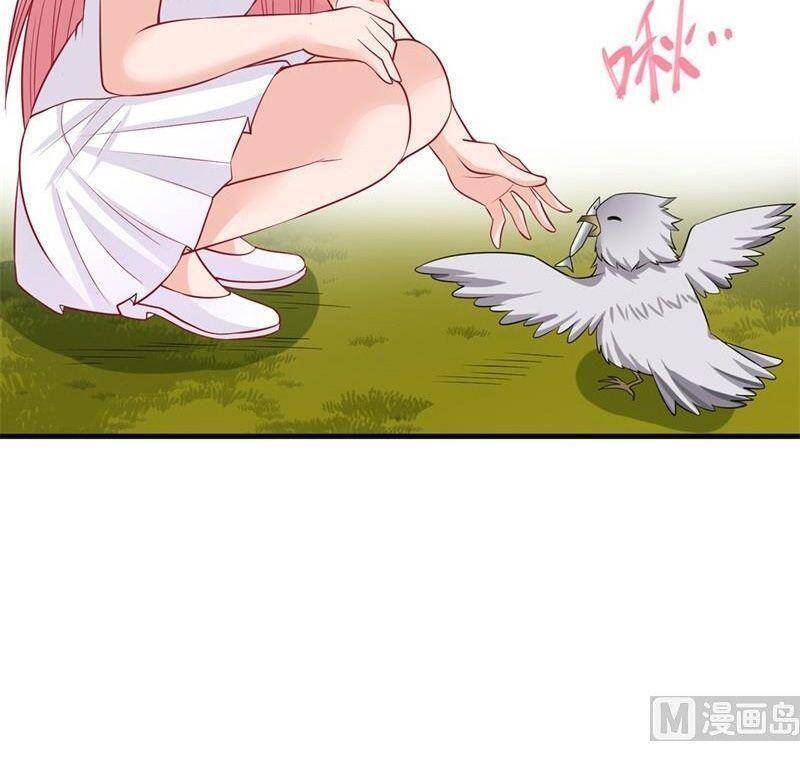 Sống Trên Hoang Đảo Cùng Các Em Gái Chapter 56 - Trang 2