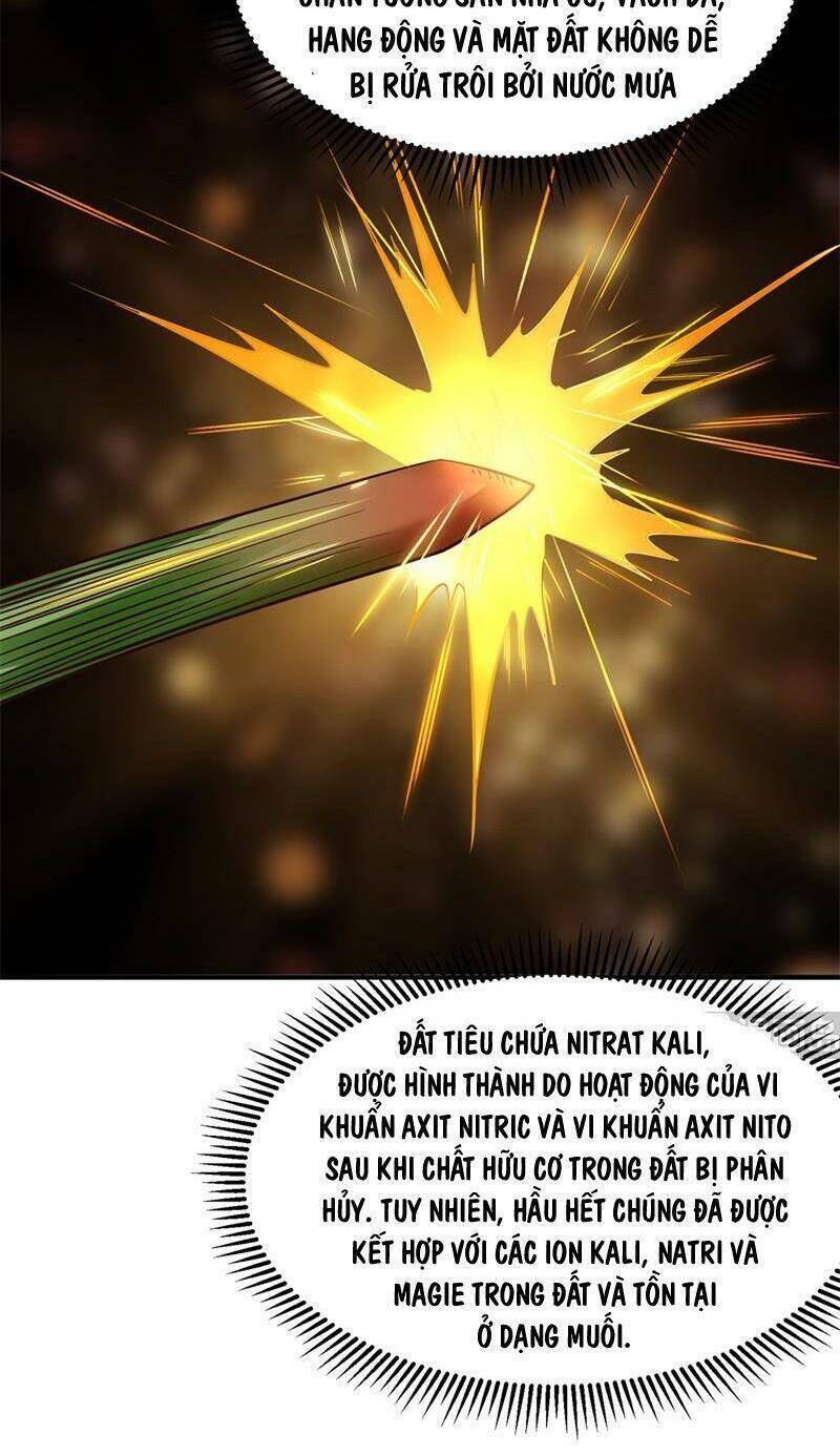 Sống Trên Hoang Đảo Cùng Các Em Gái Chapter 58 - Trang 2