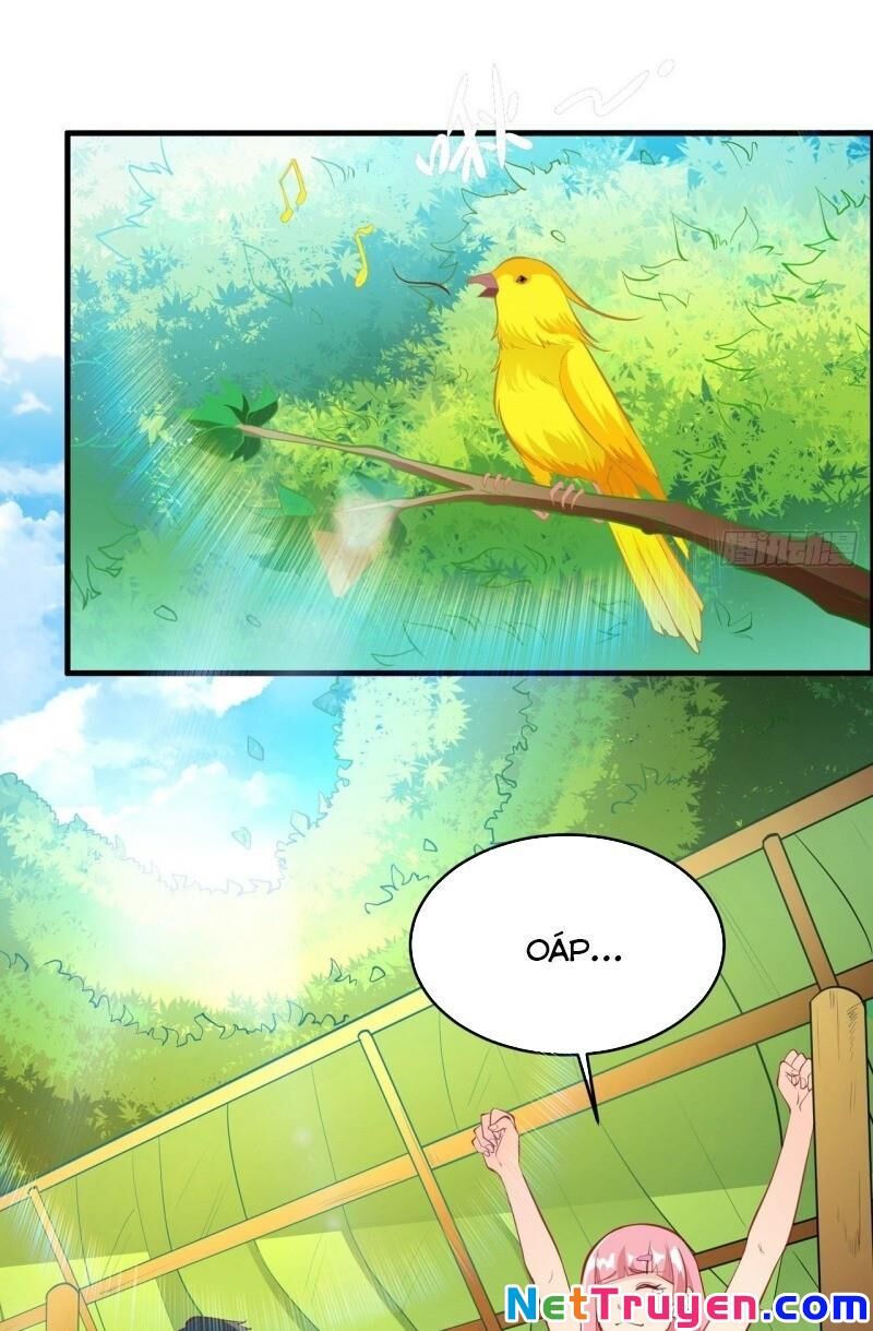 Sống Trên Hoang Đảo Cùng Các Em Gái Chapter 7 - Trang 2