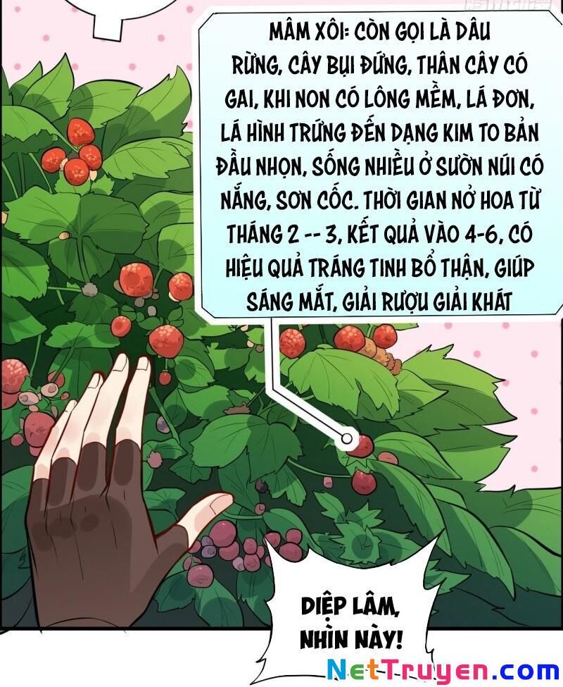 Sống Trên Hoang Đảo Cùng Các Em Gái Chapter 7 - Trang 2