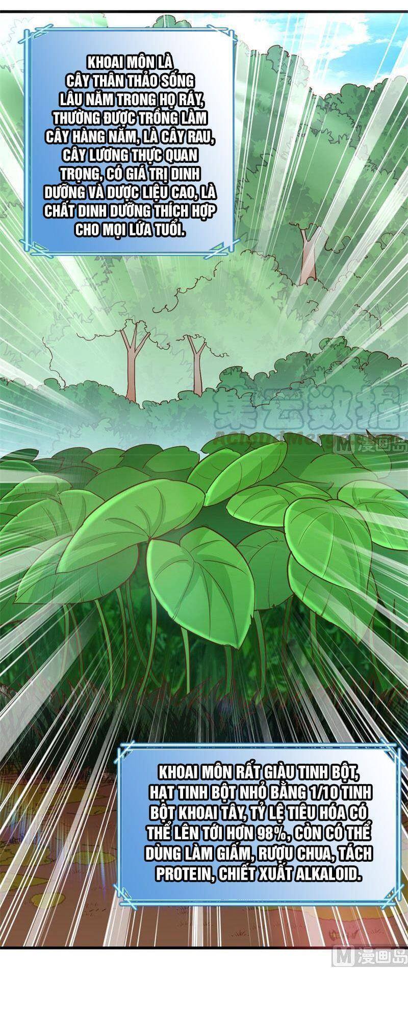 Sống Trên Hoang Đảo Cùng Các Em Gái Chapter 78 - Trang 2