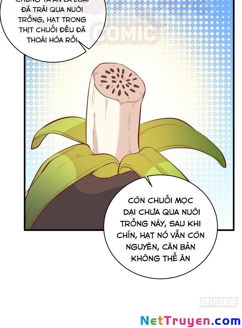 Sống Trên Hoang Đảo Cùng Các Em Gái Chapter 8 - Trang 2