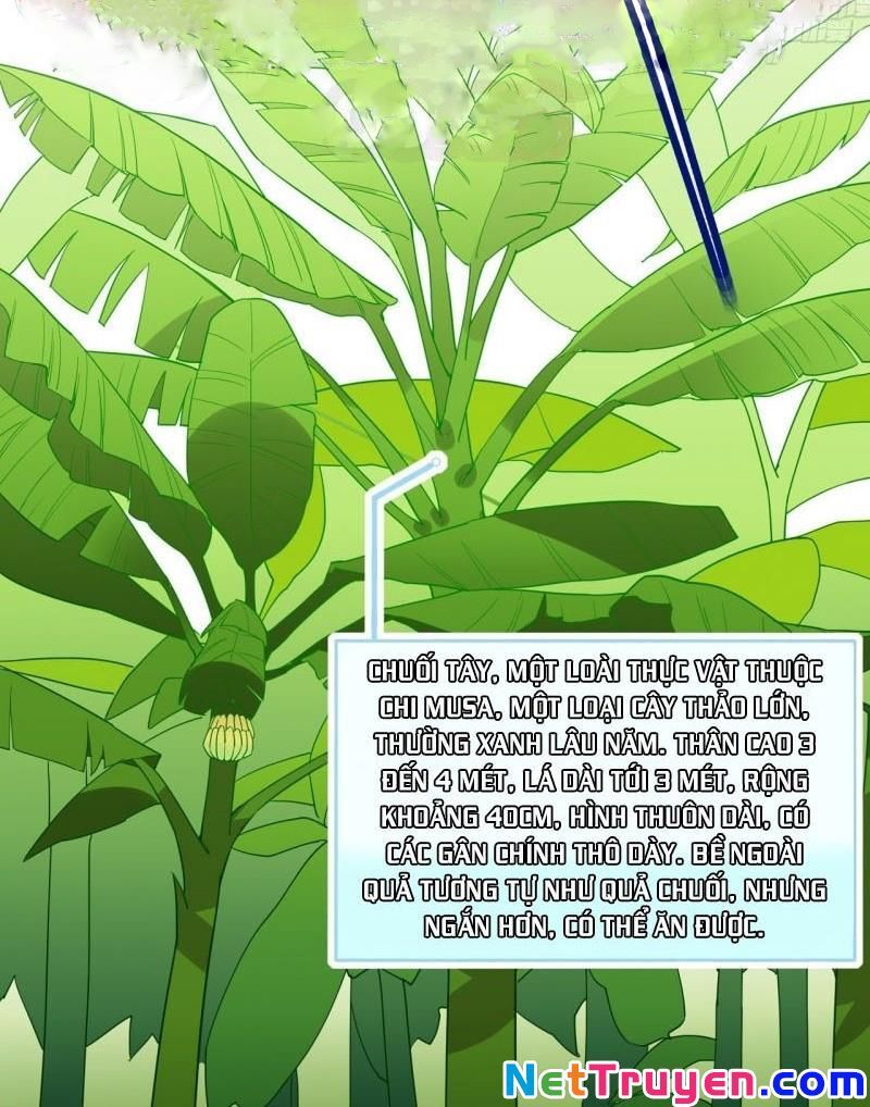 Sống Trên Hoang Đảo Cùng Các Em Gái Chapter 8 - Trang 2