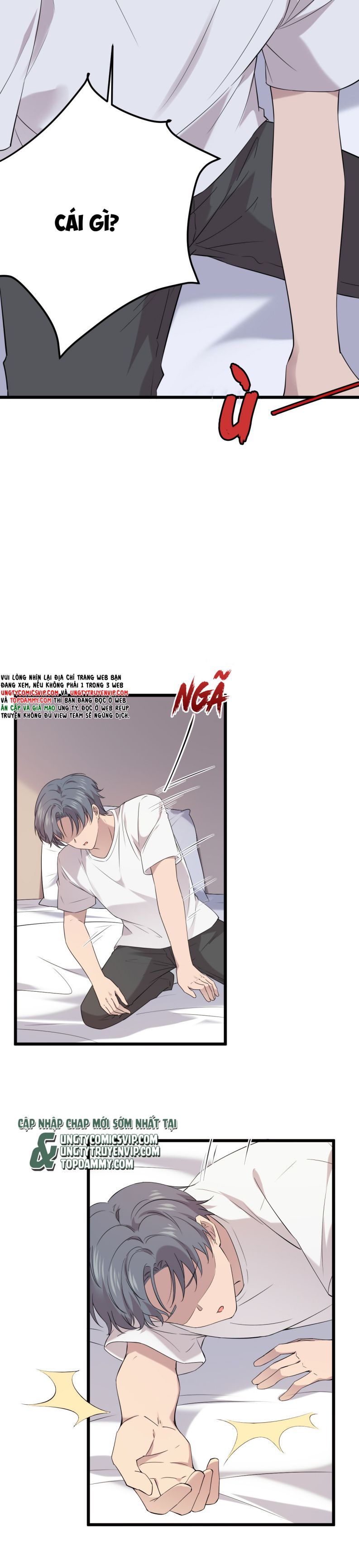 Song Trình Chapter 17 - Trang 2