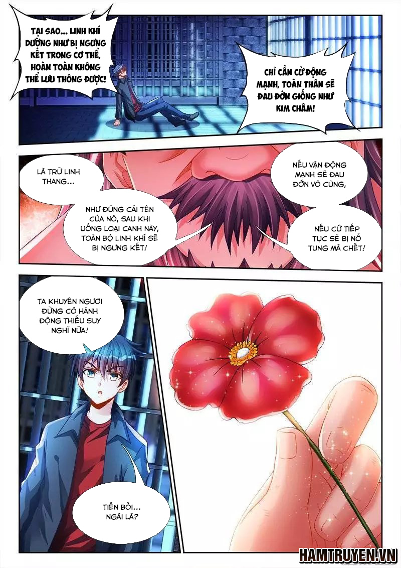 Song Tu Đạo Lữ Của Tôi Chapter 205 - Trang 2