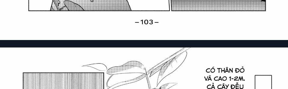 Sounan Desu Ka? Chapter 38 - Trang 2