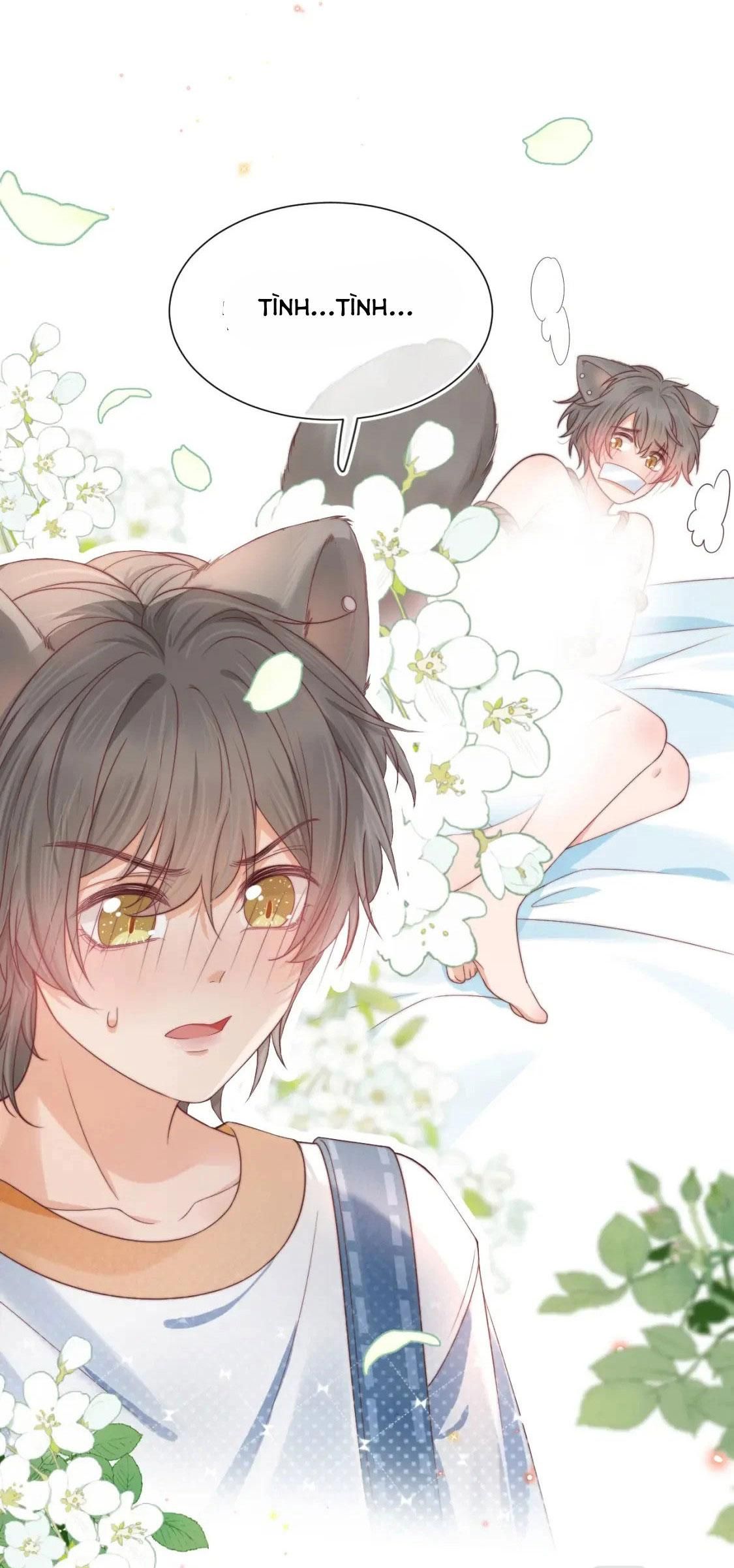 [Ss2] Một Ngụm Ăn Cả Thỏ Con Chapter 34 - Trang 2