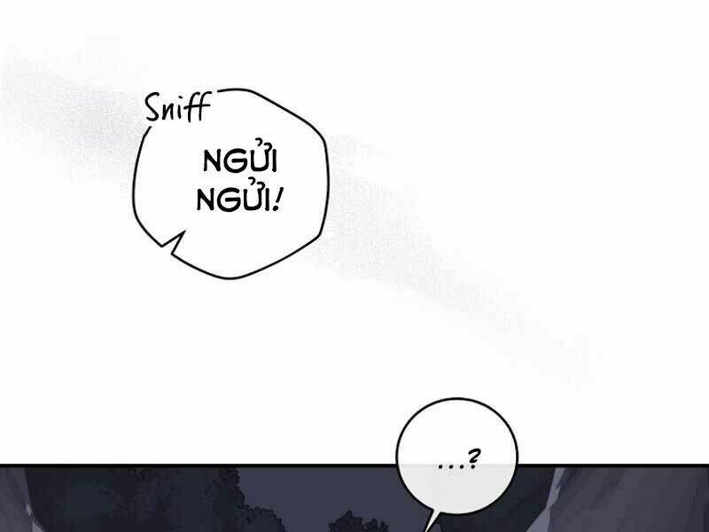 Streamer Pháp Sư Chapter 17 - Trang 2