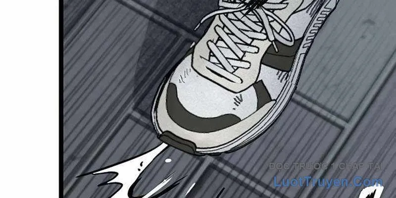 Sự Bí Ẩn Của Học Sinh Chuyển Trường Chapter 22 - Trang 2