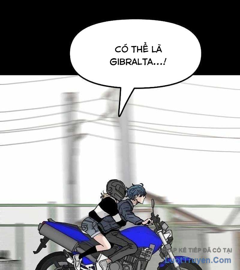 Sự Bí Ẩn Của Học Sinh Chuyển Trường Chapter 32 - Trang 2