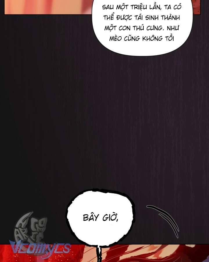 Sự Điều Trị Đặc Biệt Của Tinh Linh Chapter 1.1 - Trang 2