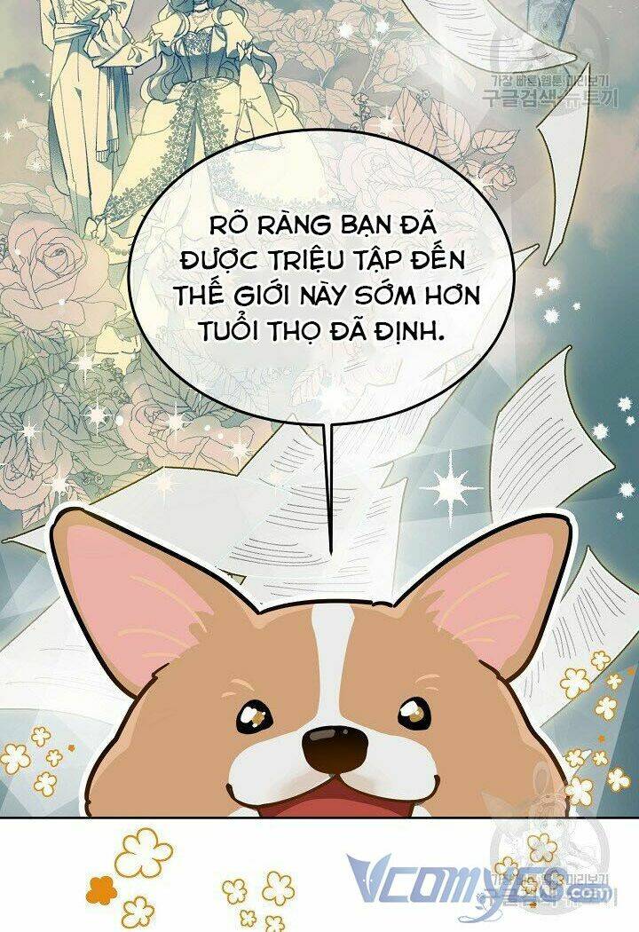 Sự Điều Trị Đặc Biệt Của Tinh Linh Chapter 1 - Trang 2