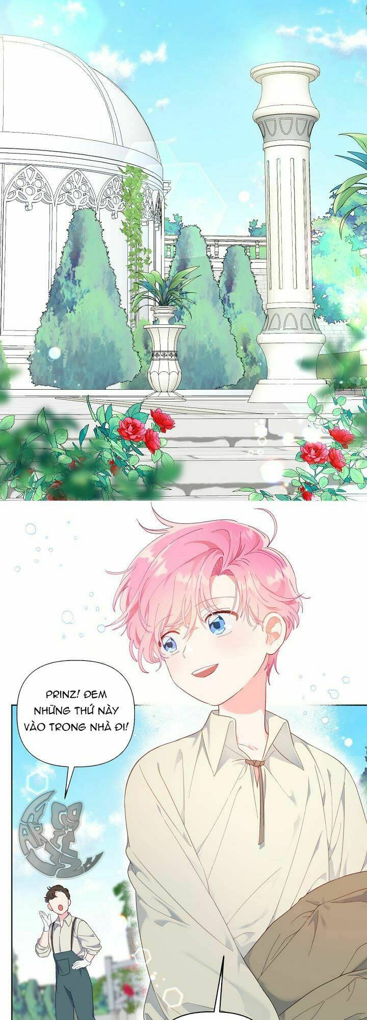 Sự Điều Trị Đặc Biệt Của Tinh Linh Chapter 19 - Trang 2