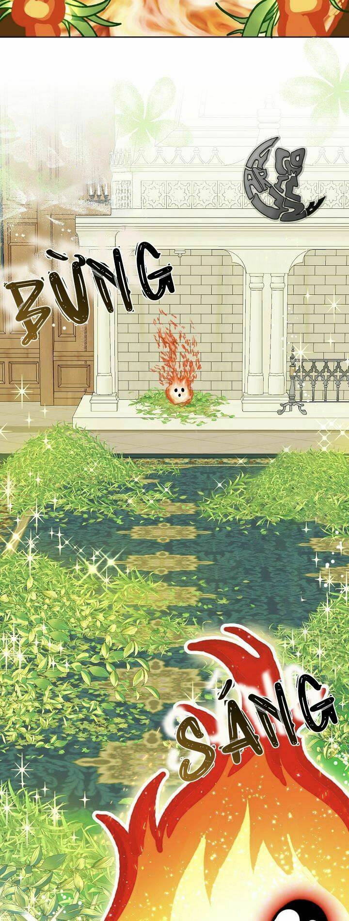 Sự Điều Trị Đặc Biệt Của Tinh Linh Chapter 25 - Trang 2