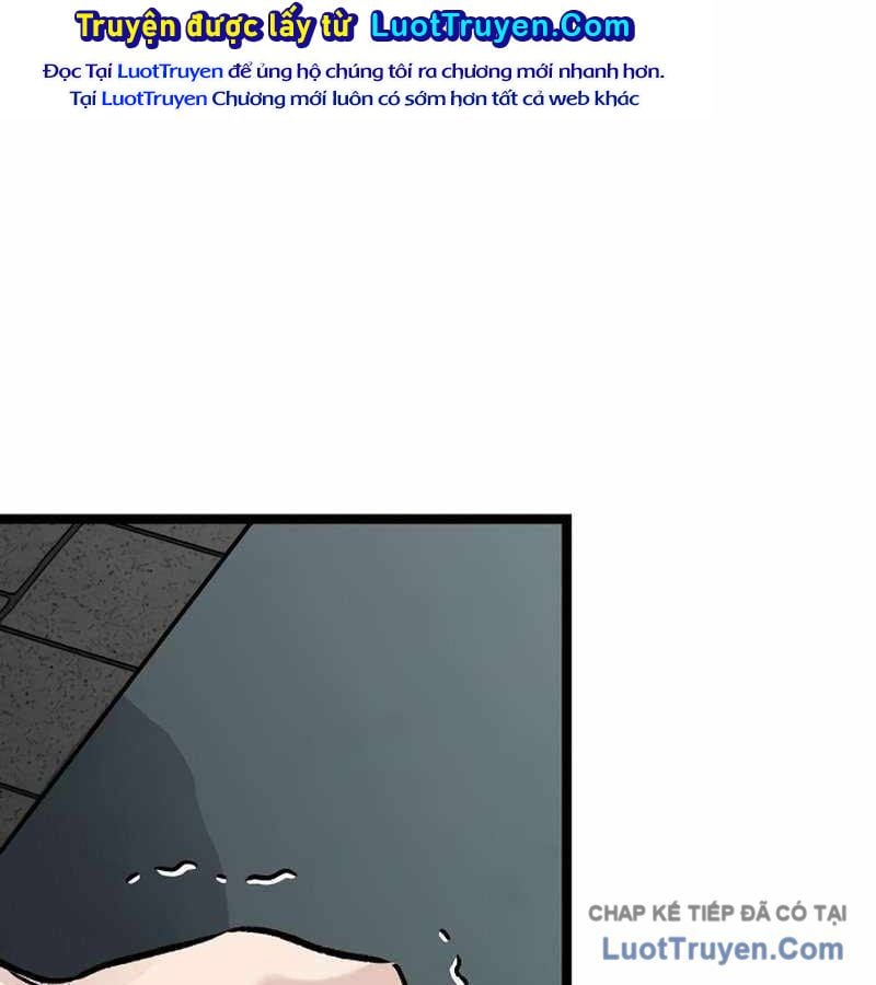 Sự Im Lặng Của Học Sinh Chuyển Trường Chapter 33 - Trang 2