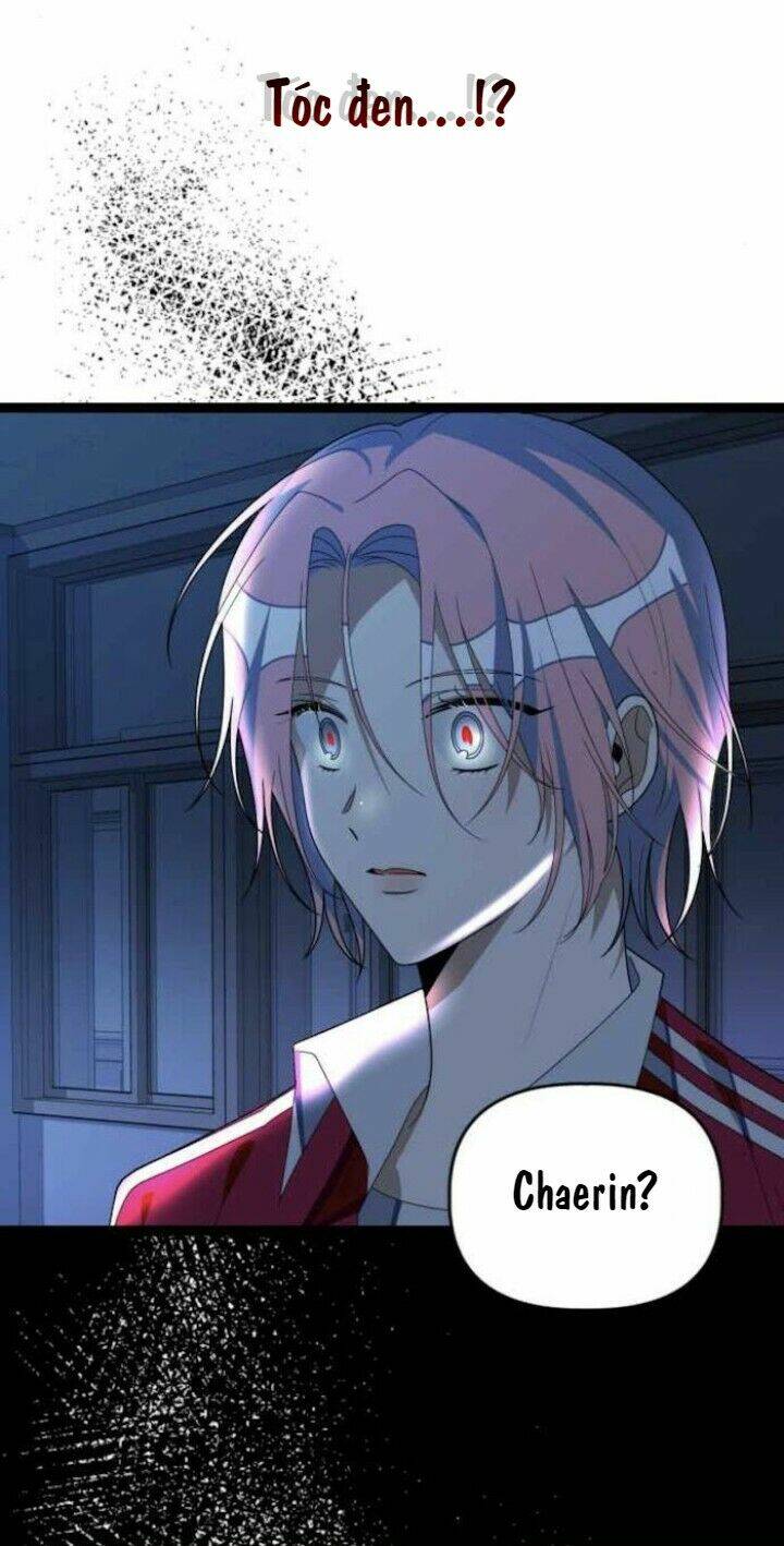 Sự Lãng Mạn Còn Tồn Tại Chapter 42 - Trang 2