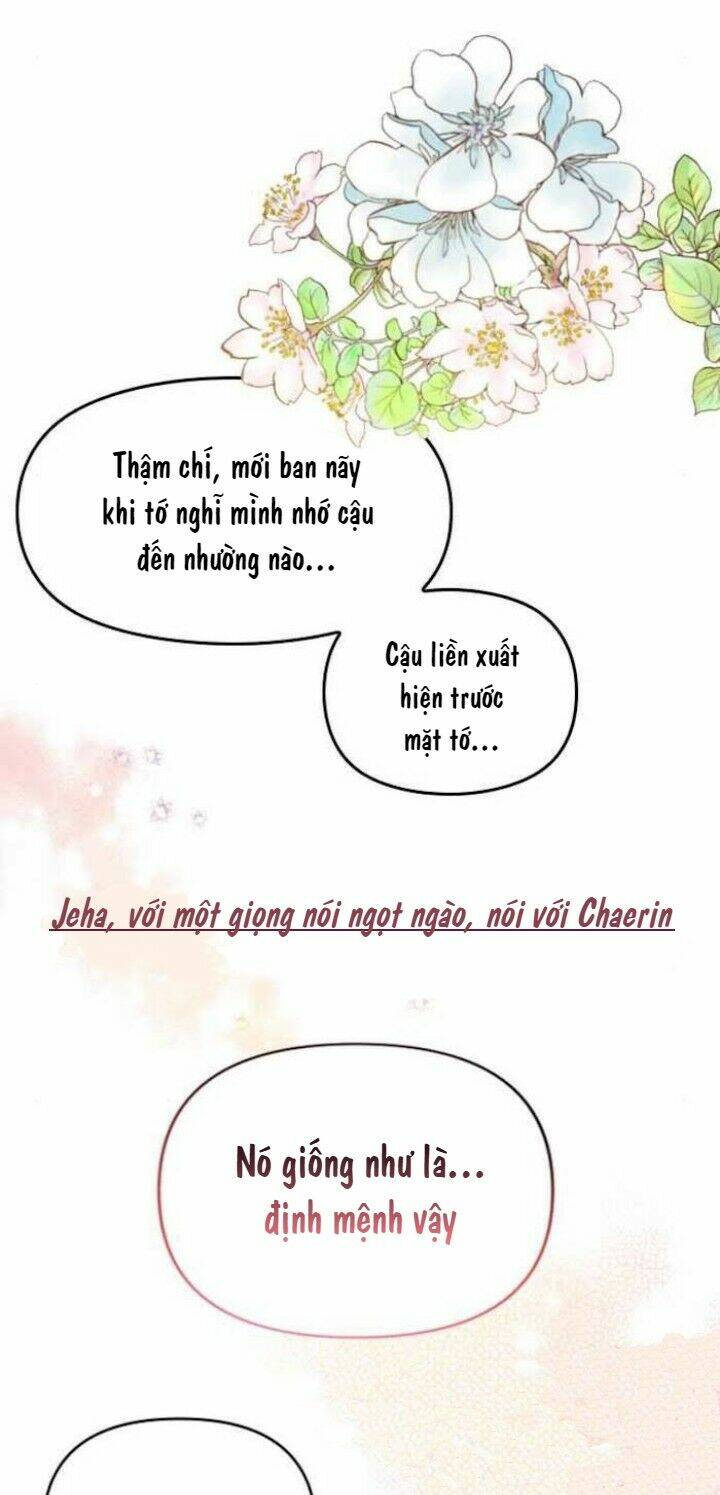 Sự Lãng Mạn Còn Tồn Tại Chapter 47 - Trang 2