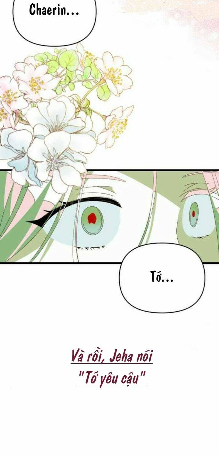 Sự Lãng Mạn Còn Tồn Tại Chapter 47 - Trang 2