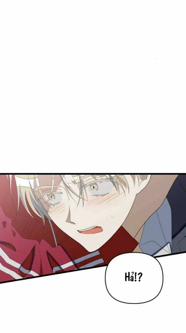 Sự Lãng Mạn Còn Tồn Tại Chapter 47 - Trang 2