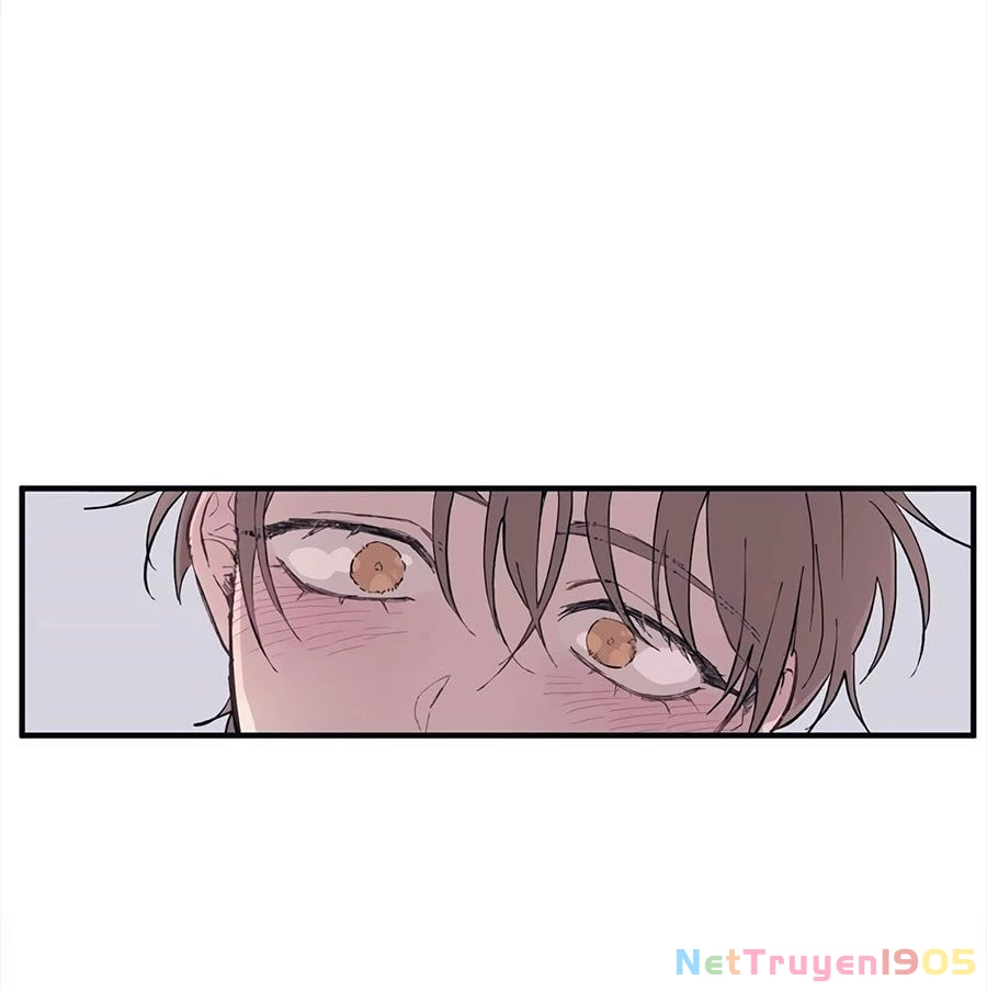 Sự Ngây Thơ Của Yeon Woo Chapter 1 - Trang 2
