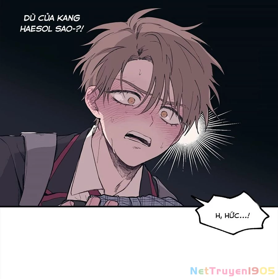Sự Ngây Thơ Của Yeon Woo Chapter 1 - Trang 2