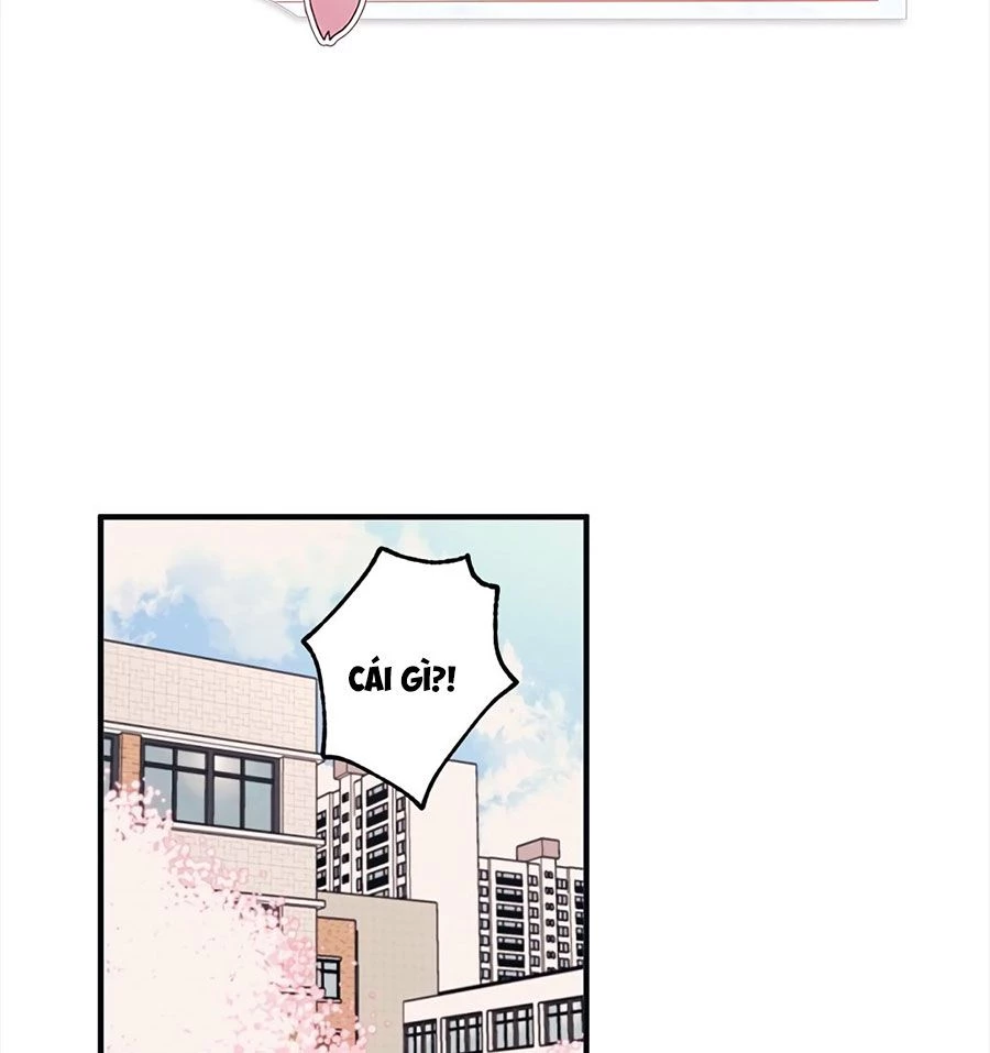 Sự Ngây Thơ Của Yeon Woo Chapter 2 - Trang 2