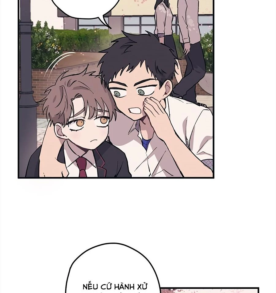 Sự Ngây Thơ Của Yeon Woo Chapter 2 - Trang 2