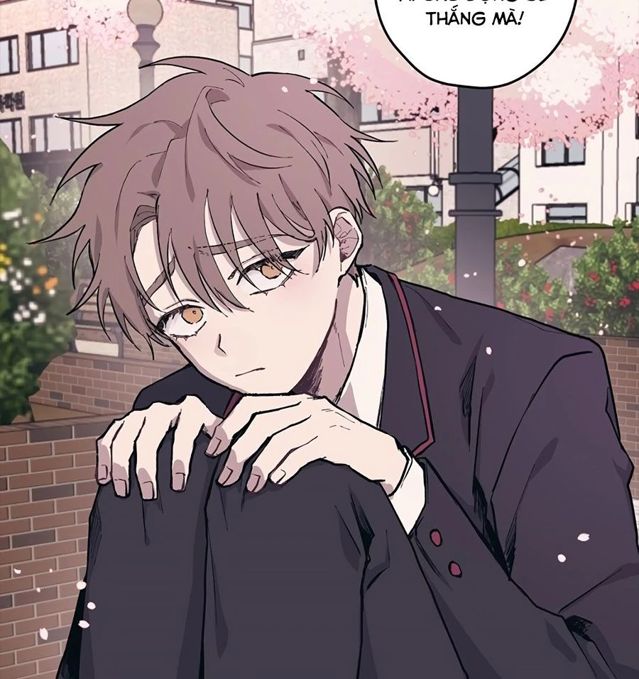 Sự Ngây Thơ Của Yeon Woo Chapter 2 - Trang 2